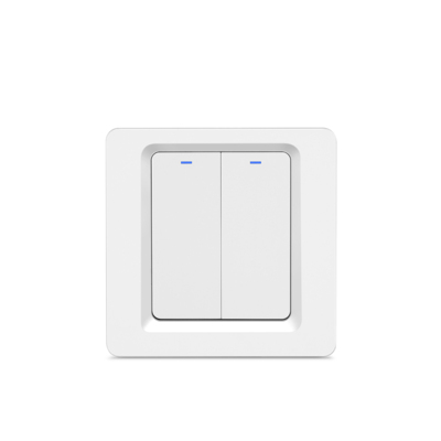 Zemismart EU WiFi Wall Push Light Switch Two Gangs