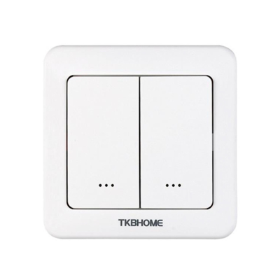 TKB Double Relay Wall Switch