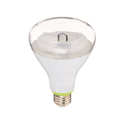 BR30 650lm WW Bulb